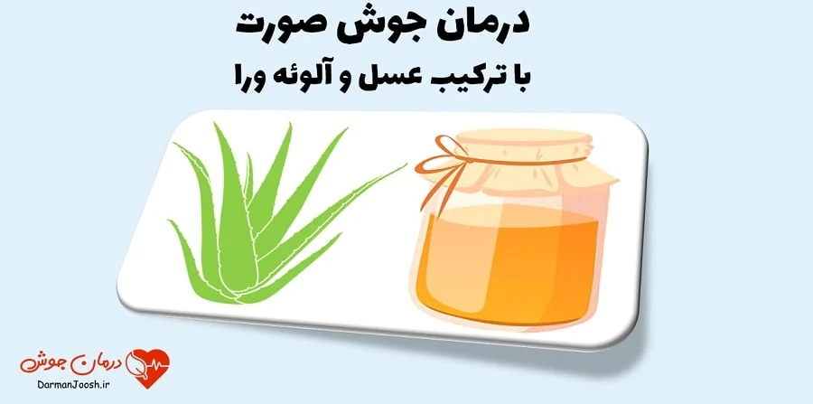 کسب و کار استانها