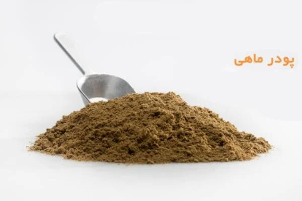 کسب و کار استانها