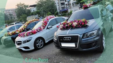 کسب و کار استانها