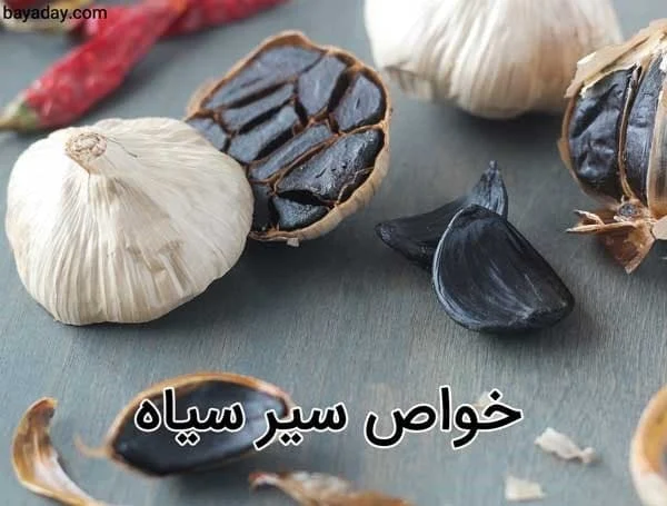 کسب و کار استانها