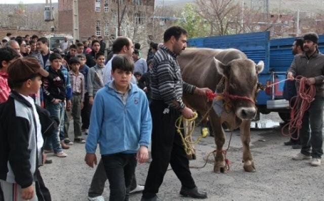 جشن سی‌وششمین روز بهار
