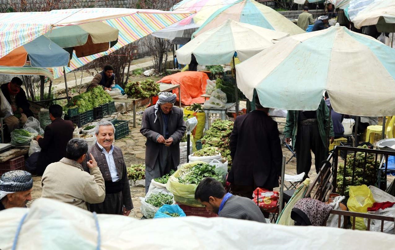 سودجویان به تاراج گیاهان دشتی ایران مشغولند