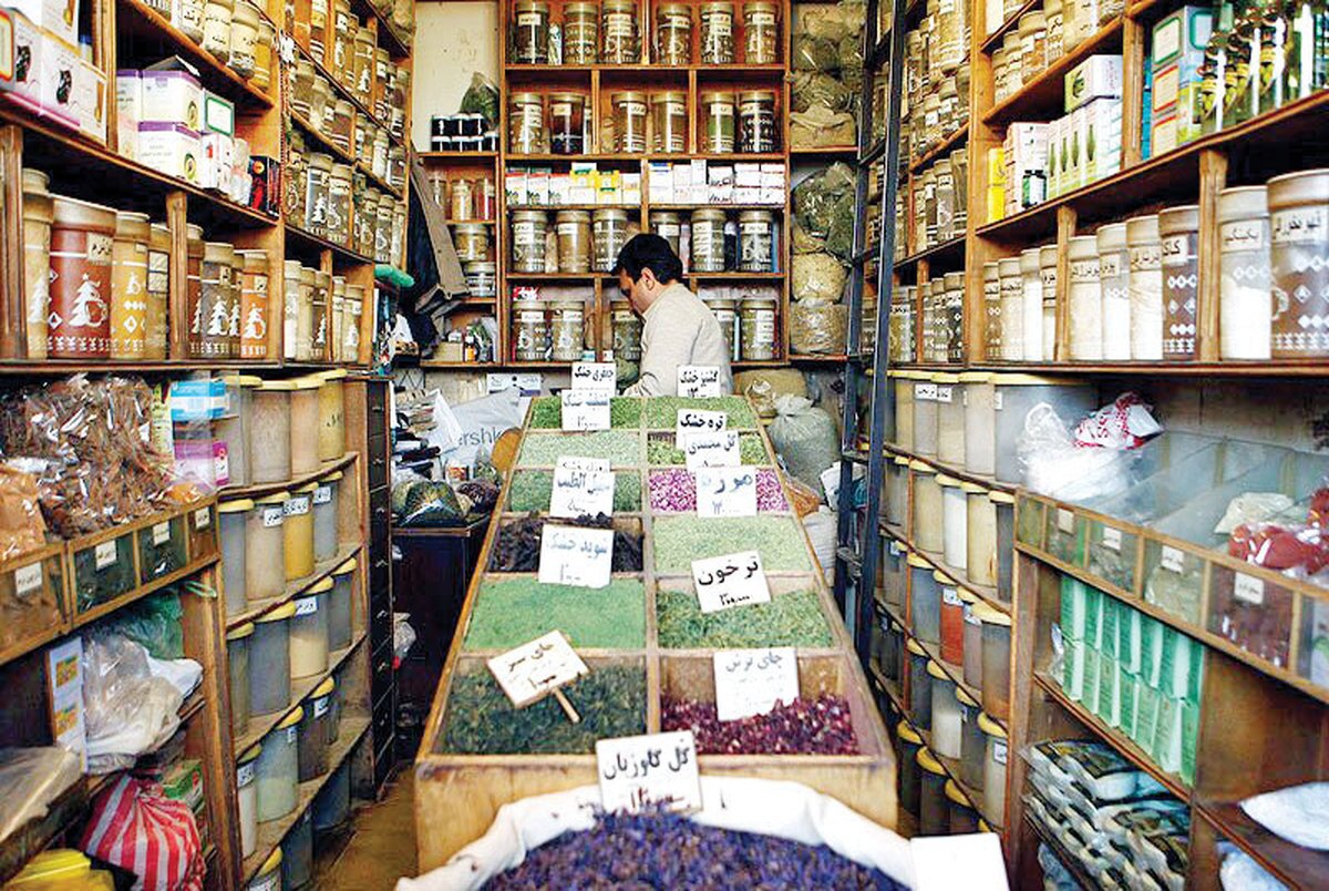 سودجویان به تاراج گیاهان دشتی ایران مشغولند