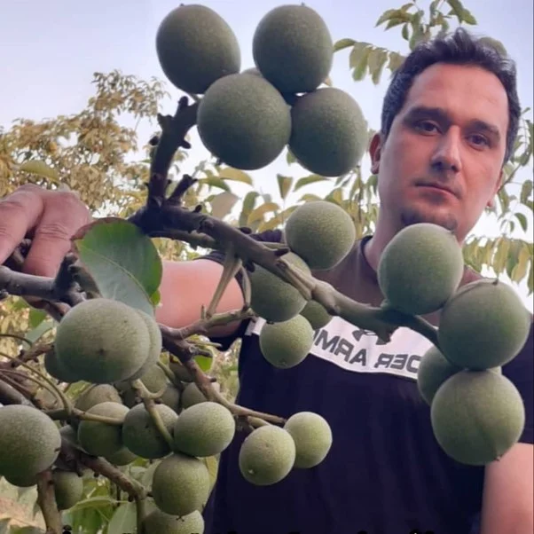سرمایه