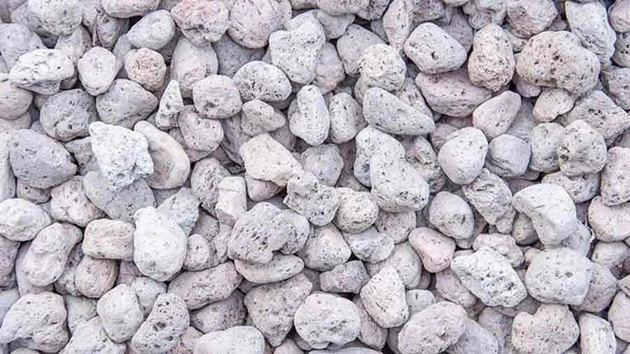 کسب و کار استانها