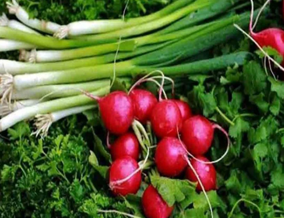 3 روش تازه نگه داشتن سبزی خوردن