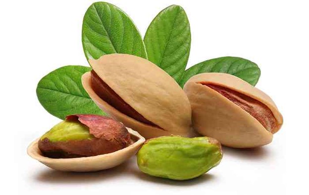 کسب و کار استانها