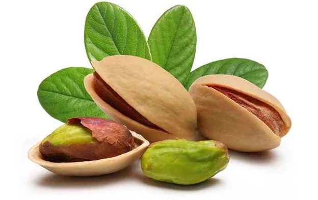 کسب و کار استانها