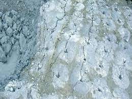 کسب و کار استانها
