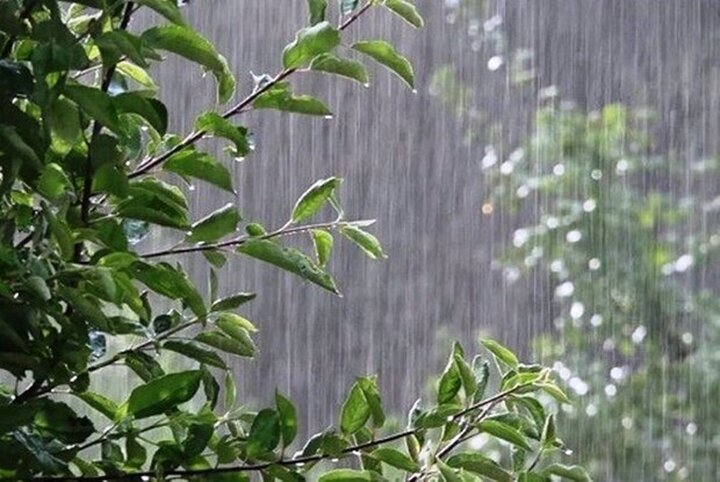 هواشناسی ۱۴۰۲/۰۶/۱۹؛