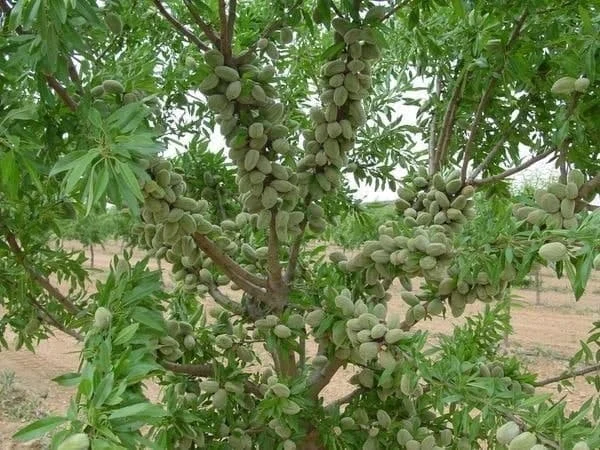 کسب و کار استانها