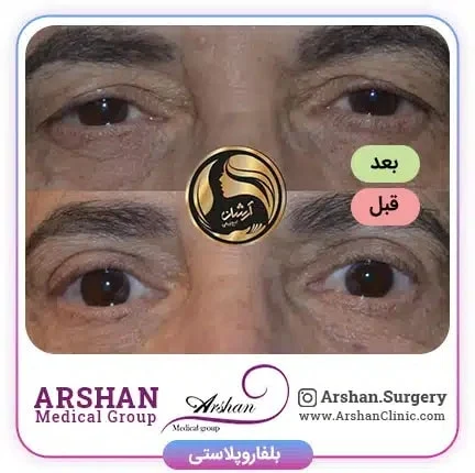 کسب و کار استانها