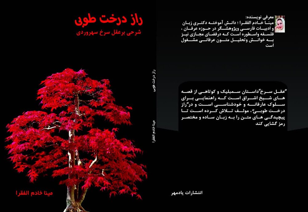 «شرحی بر عقل سرخ سهروردی» منتشر شد