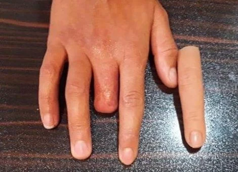 کسب و کار استانها