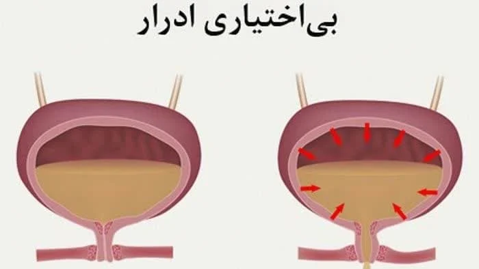 کسب و کار استانها
