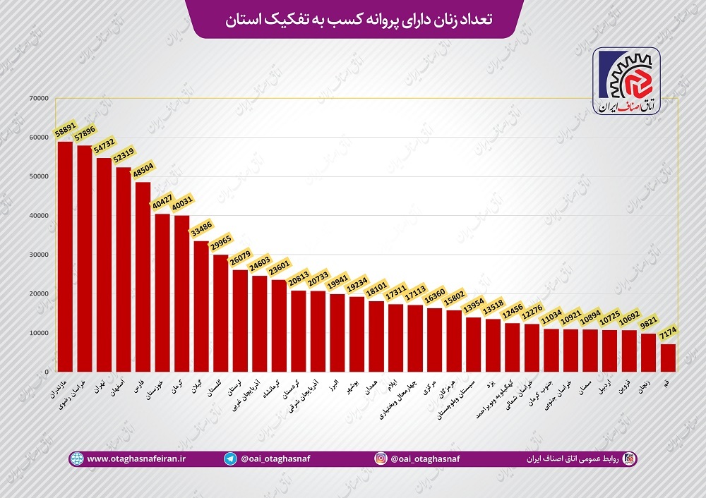 حضور پررنگ زنان در فعالیت‌های صنفی+نمودار آماری