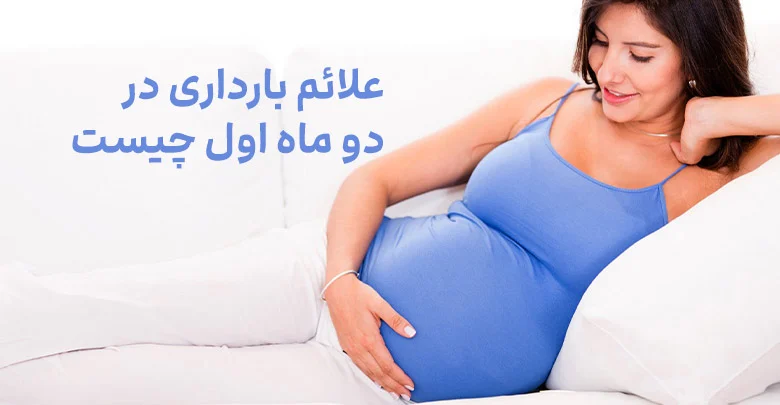 کسب و کار استانها