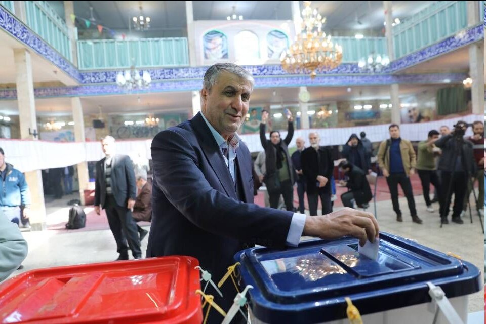 رییس سازمان انرژی اتمی ایران در انتخابات شرکت کرد