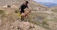 سرخه | سرخه حصار