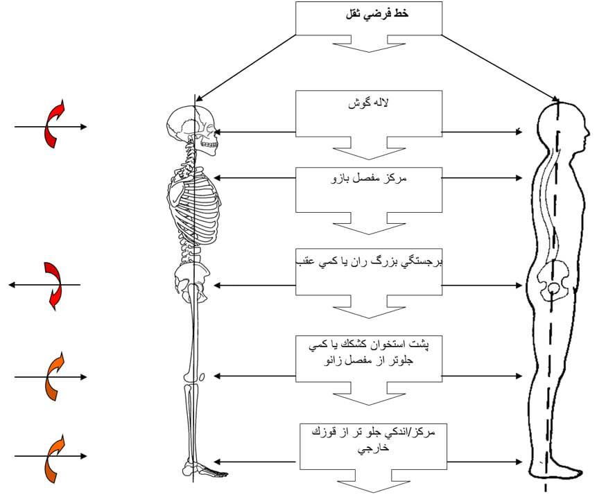 حرکات اصلاحی و ورزشی (تشخیص، راه‌های پیشگیری، تمرینات