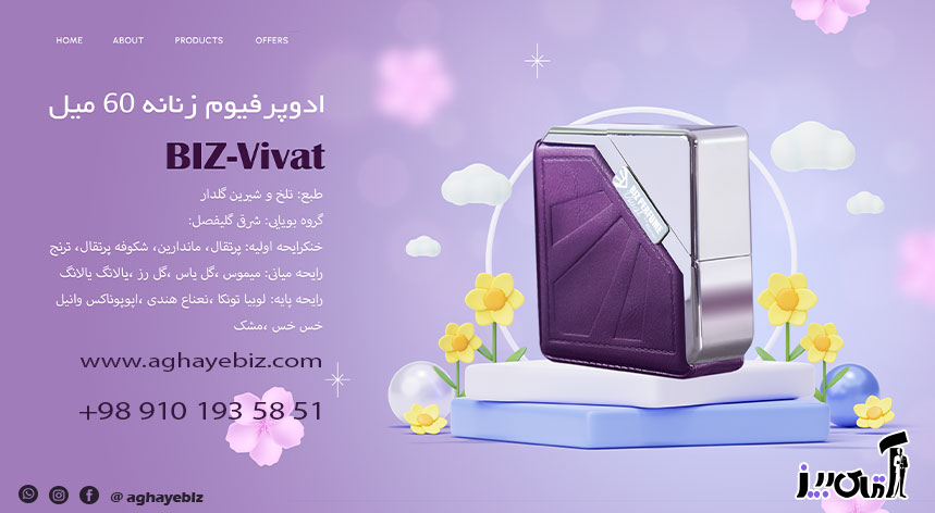 کسب و کار استانها