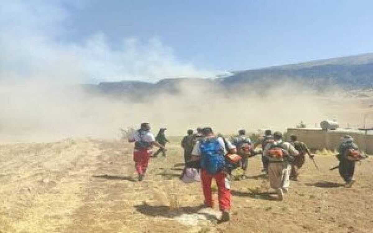 فیلم| آتش سوزی در ارتفاعات قلارنگ ایلام