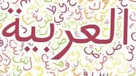 کسب و کار استانها