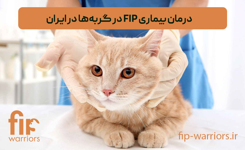 کسب و کار استانها
