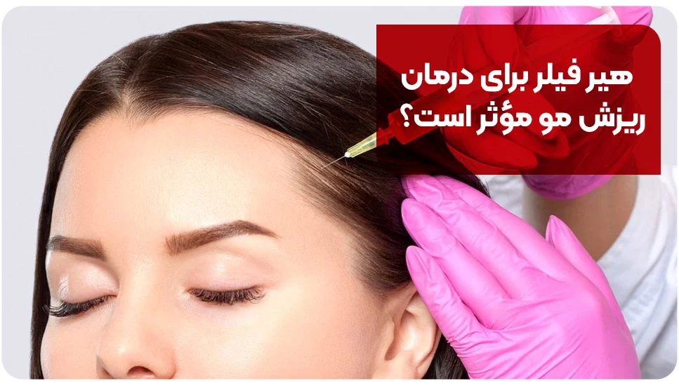 کسب و کار استانها