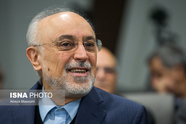 صالحی: امیدواریم «مسقط» پایه گذار بهاری دائمی در خاورمیانه شود صالحی: امیدواریم «مسقط» پایه گذار بهاری دائمی در خاورمیانه شود