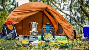 طبیعت | طبیعت گردی